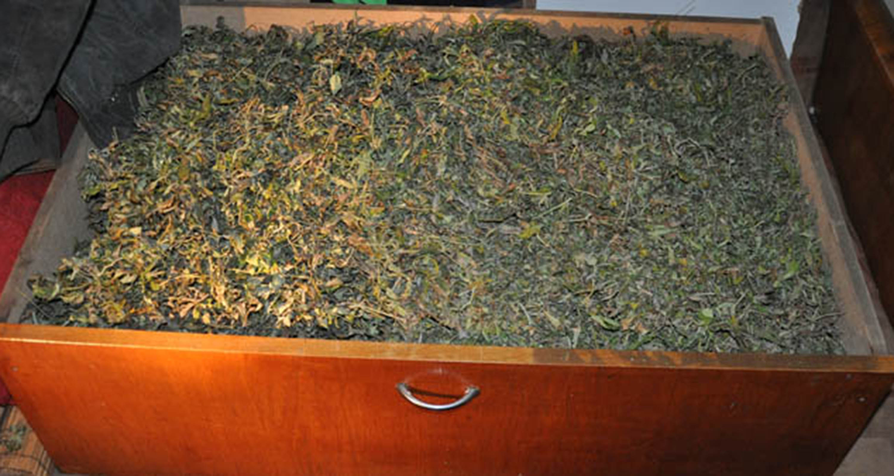 Zaplena više od osam kilograma marihuane