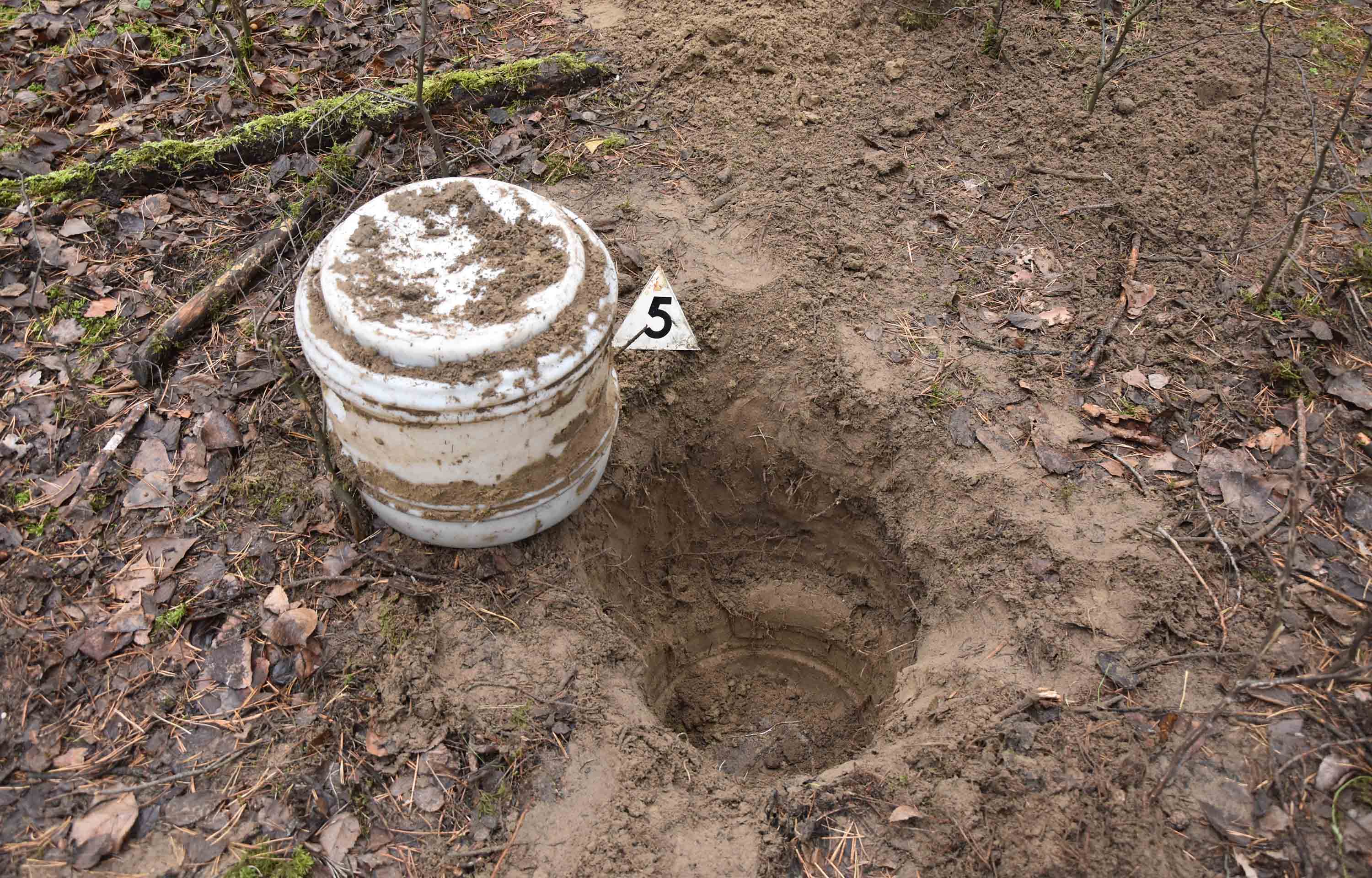 Zakopana droga pronađena u šumi, uhapšeni osumnjičeni