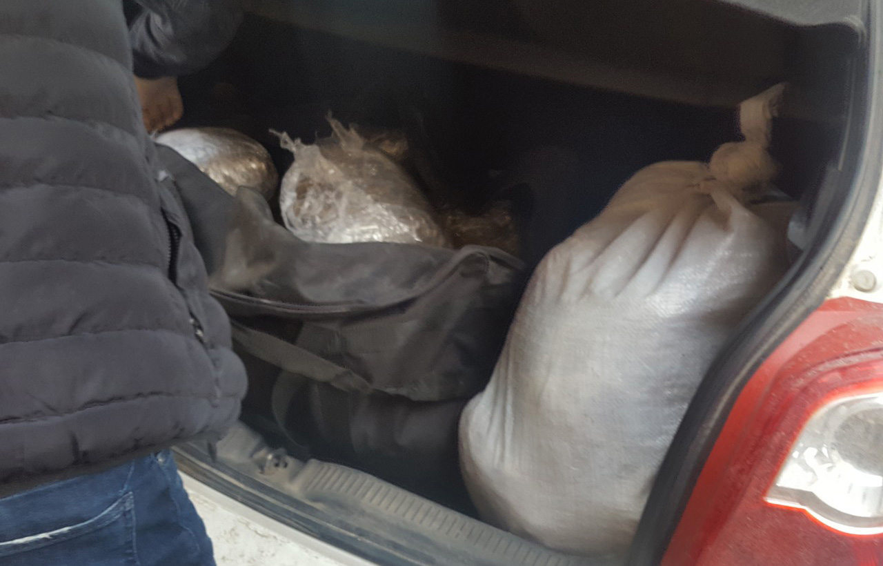 На територији Златибора заплењено око 36 килограма марихуане и ухапшене четири особе