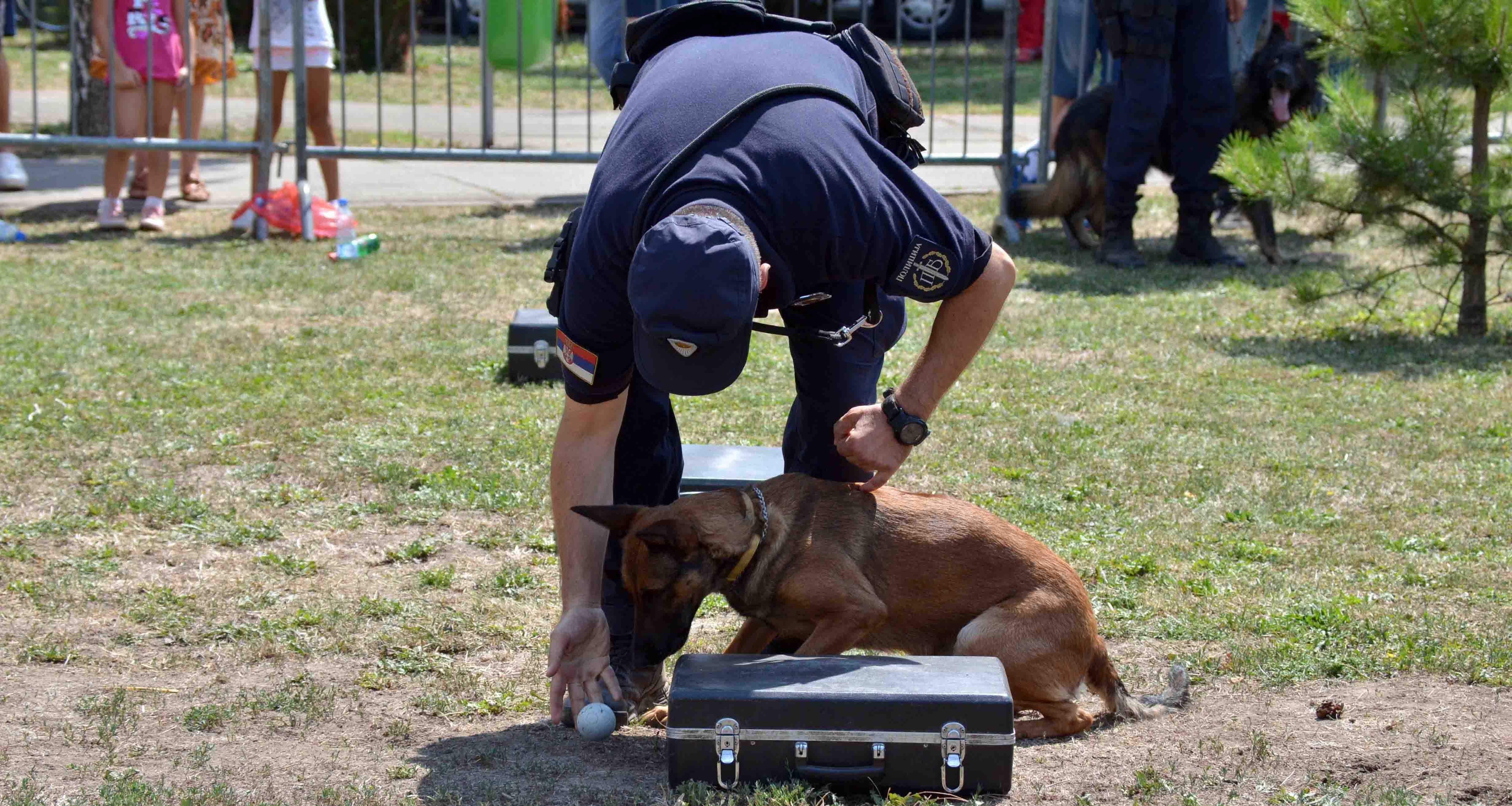 Policijski psi u službi građana više od četiri decenije