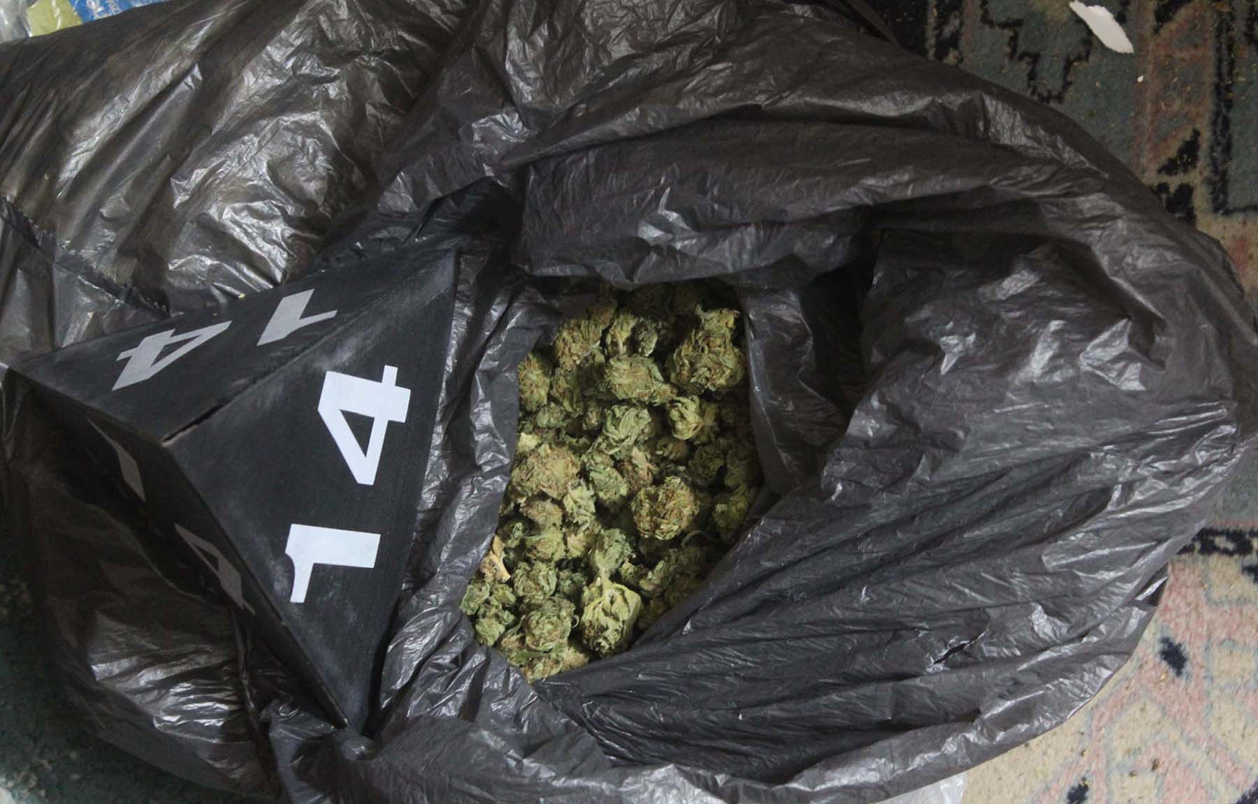 Заплењeнo око шест килограма различитих врста наркотика и ухапшено 12 особа