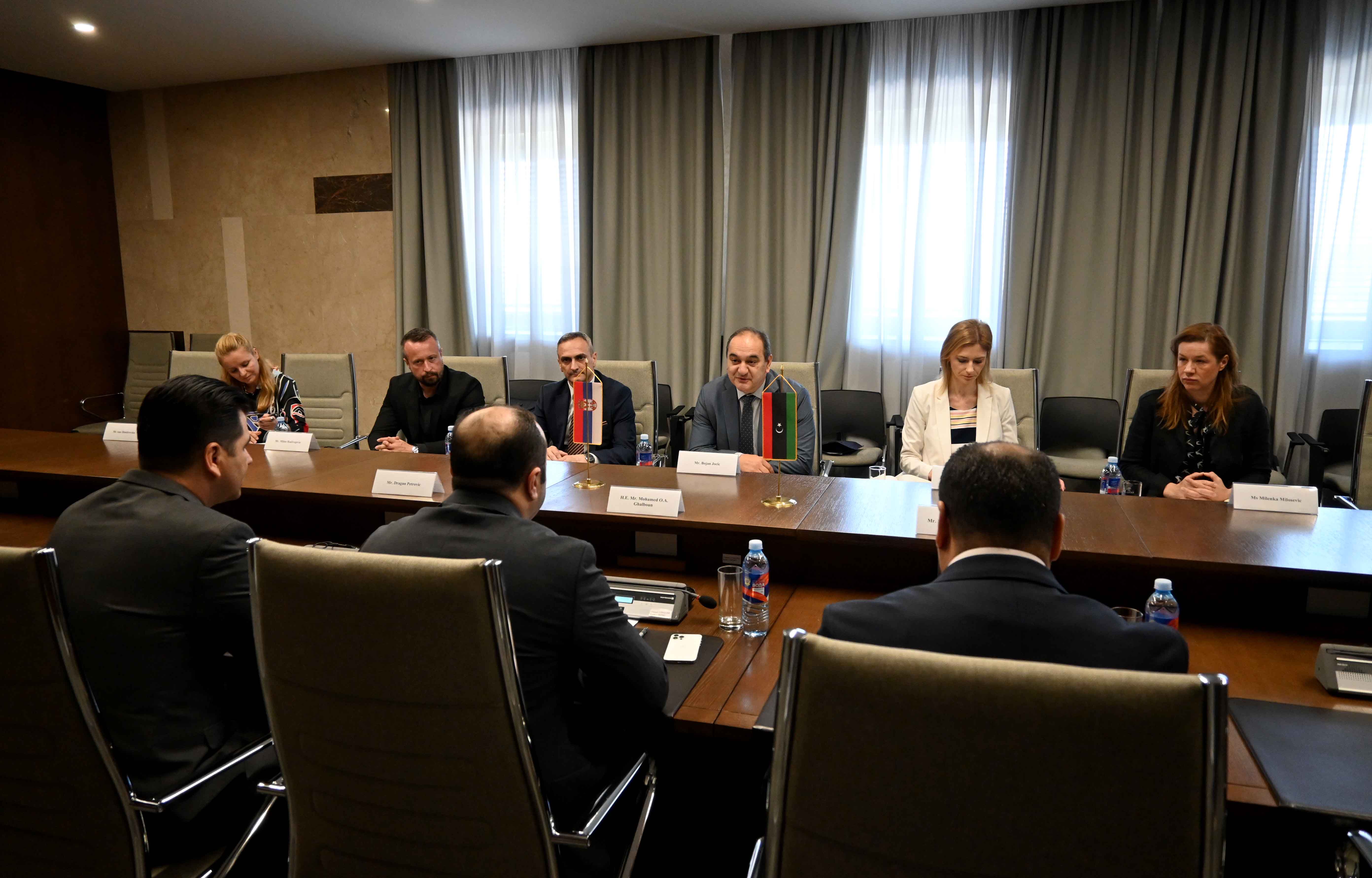 Државни секретар Јоцић и амбасадор Галбун разговарали о успостављању сарадње у области образовања