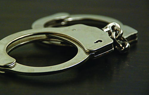 Ухапшена осумњичена за више крађа у Калуђерици