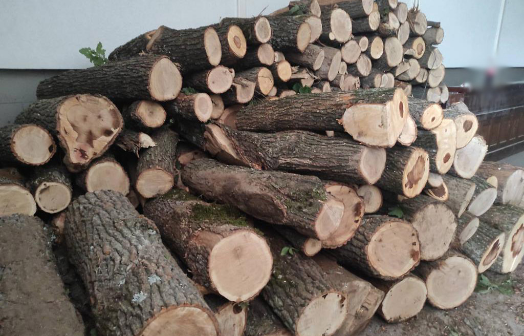 Појачане контроле шумских подручја на територији Србије, као и возила која превозе дрва