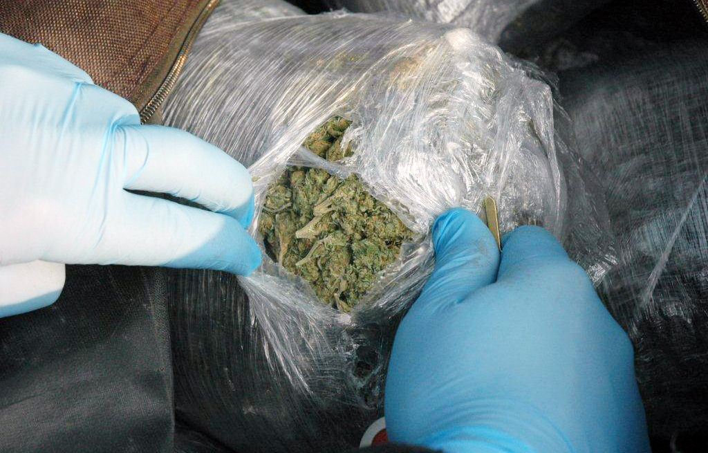 Zaplenjeno više od 47 kilograma marihuane, uhapšena jedna osoba